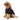 United Pets Felpa Capsule Collection Bull Nero Rosa