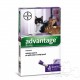 Advantage Spot On oltre 4 kg Antiparassitario per Gatti