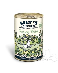 Lily's Kitchen Umido Cane Recovery Recipe