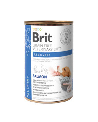 Brit Veterinary Diet CANE e GATTO Recovery Umido