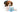 Giochi con Squeaker