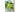 Farm Company Ecolife Repellente Naturale Spot On Cane