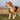 Pettorina Hurtta Weekend Warrior Rosa Ruby