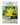 Farm Company Ecolife Repellente Naturale SPOT ON PER GATTI