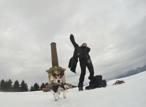 cani sulla neve