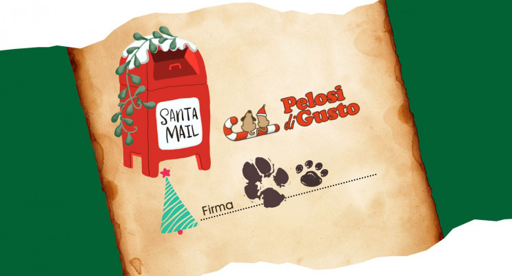 Caro Babbo Natale…(la letterina natalizia di un cane e un gatto)