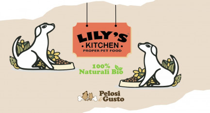 Cibo per cani come fatto in casa: l'innovazione di Lily's Kitchen