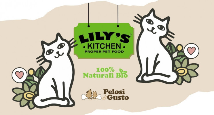 Lily's Kitchen: il cibo naturale per gatti che stavi cercando