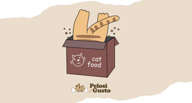 Cosa piace mangiare ai gatti? Regole base e consigli prodotti