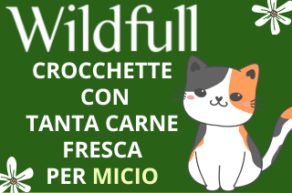 WILDFULL PER MICIO